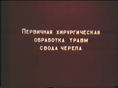 15440333274450.webm