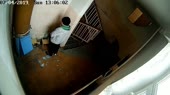 15573393067860.mp4