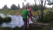 15553594645801.webm