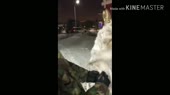 15800008022460.mp4