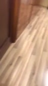15485894304370.mp4