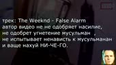15594532330890.webm