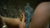 cc2c42dab68ce9397e9ce790e0adb8e9.webm