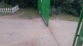 15470884292220.webm