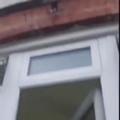15473986363360.mp4