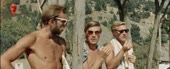 15474216568260.webm