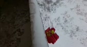 15481668179121.webm