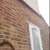 15529891076391.mp4