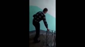 15532088806520.mp4