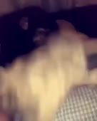 15581316923712.webm