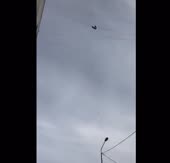 15618790895850.mp4