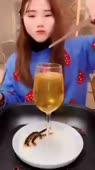 15634581153140.webm