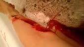 15720234890040.webm