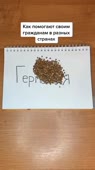 fKoiPBkz.mp4