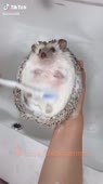 @dvachannel @rand2ch @abuwtf @ru2chban @ru2ch18 1 (66).mp4