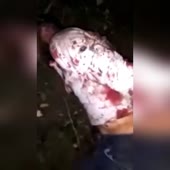 15901678967310.mp4