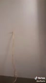 15900024249440.mp4