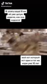 рфывшрфнрыи.mp4