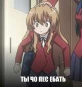 15674139986822.jpg