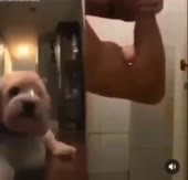 biceps.mp4