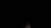 15901798974250.webm