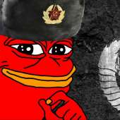 173818731.jpg