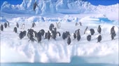 penguins.webm