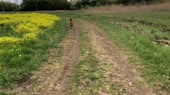 IMG7151.mp4