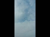маг.mp4