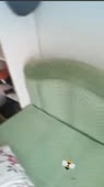 434567890765434357.mp4