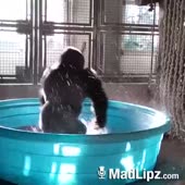 15370324715190.mp4