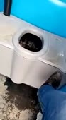 чел залез в толчок.mp4