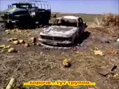 15552337344820.webm