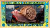 Без названия.jpg