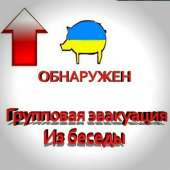 1596051819963.jpg