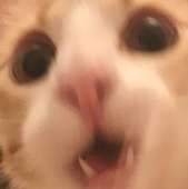 15917978830360.jpg