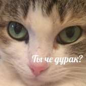 15962788686990.jpg