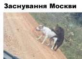Mn-Uo-qBwCg.jpg