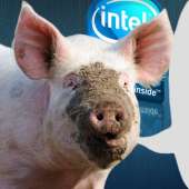 интел свинья.png