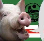 ичкерская свинья.jpg