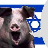 израильская свинья.png