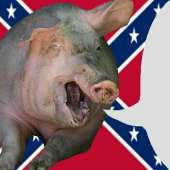 конфедератская свинья.png