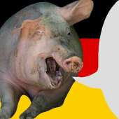 немецкая свинья.png