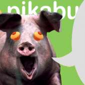 пикабушная свинья.jpg