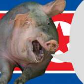 северокорейская свинья.png