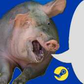 стимовская свинья.jpg