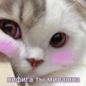 1602866107989.png
