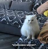 15975226177870.jpg