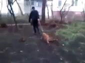 Уборка мусора с улиц и проклятия зоошизы.mp4