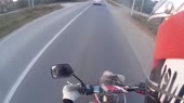 ШОК!!! ОВСЯНКА СБИЛ СОБАКУ ! видео не для слабонервных.mp4
